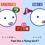 <b>(18) Feel like a flying bird.</b>